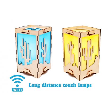 Set of 2 Long Distance Lamp with Cactus for family and friends Tactus store